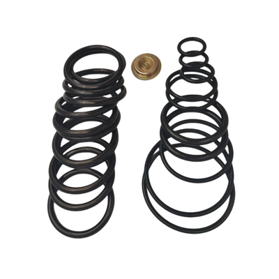 Baker Type O Ring Redress Kit #10 plaçant les outils en caoutchouc d'achèvement de Downhole de joint