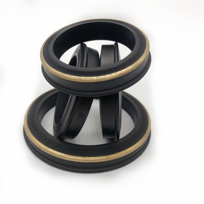 Résistance à haute pression Figure 602 Buna 2 pouces Hammer Union Lip Seal Ring