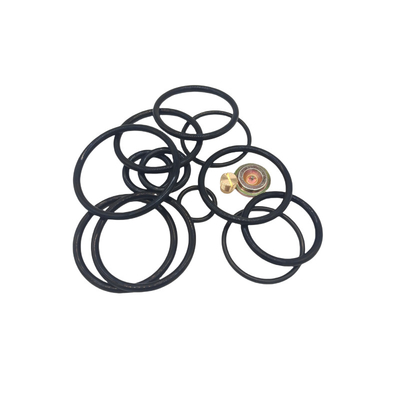 DWS 3 58 Compact Redress Kit Rubber Seal Kits pour le pétrole et le gaz