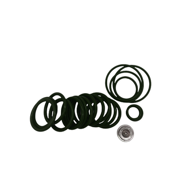 Kit de redressement personnalisé pour la prise de pont avec FKM EPDM NBR Rings 20 outils de réglage Baker