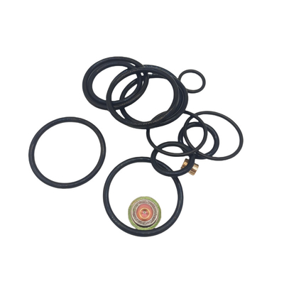 DWS 3 58 Compact Redress Kit Rubber Seal Kits pour le pétrole et le gaz