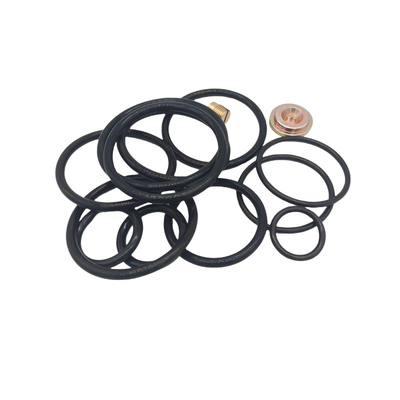 DWS 3 58 Compact Redress Kit Rubber Seal Kits pour le pétrole et le gaz