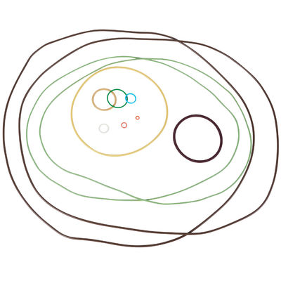 Fabricant d'anneaux O Résistant à l'huile de qualité supérieure AS568 Precision FFKM Anneaux O en caoutchouc pour gaz naturel