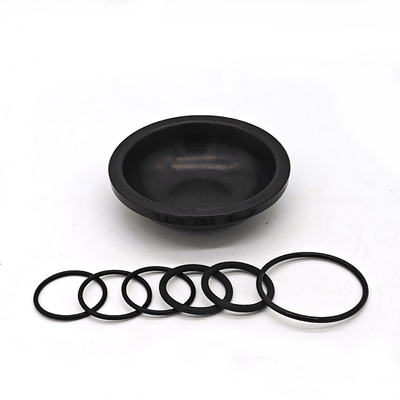 Kit de diaphragme Blueflex pour pompes AR30/40 NBR ou caoutchouc FKM résistant à l'huile