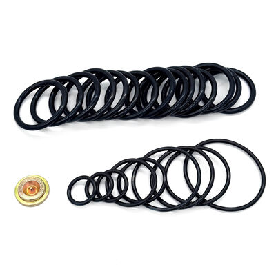 15,000 PSI Kit d'emballage pour l'outil de réglage de la pression de style #10 - Kit de redressement compatible avec le pétrole brut avec kits d'adaptateur filaire (WAK)