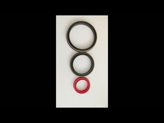 80 Shore A Brass Backup Buna Hammer Sceau de l' Union